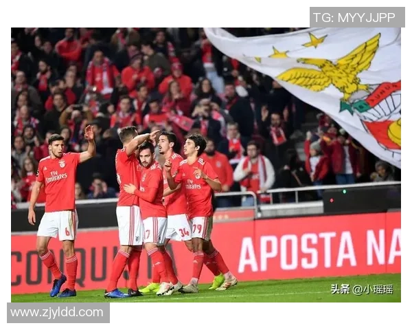 本菲卡与流浪者精彩对决比分揭晓赛季精彩瞬间回顾 本菲卡与流浪者精彩对决比分揭晓赛季精彩瞬间回顾