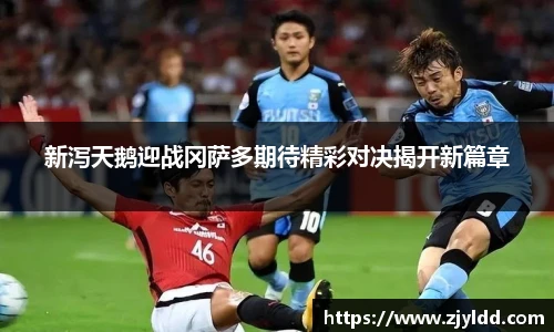 新泻天鹅迎战冈萨多期待精彩对决揭开新篇章